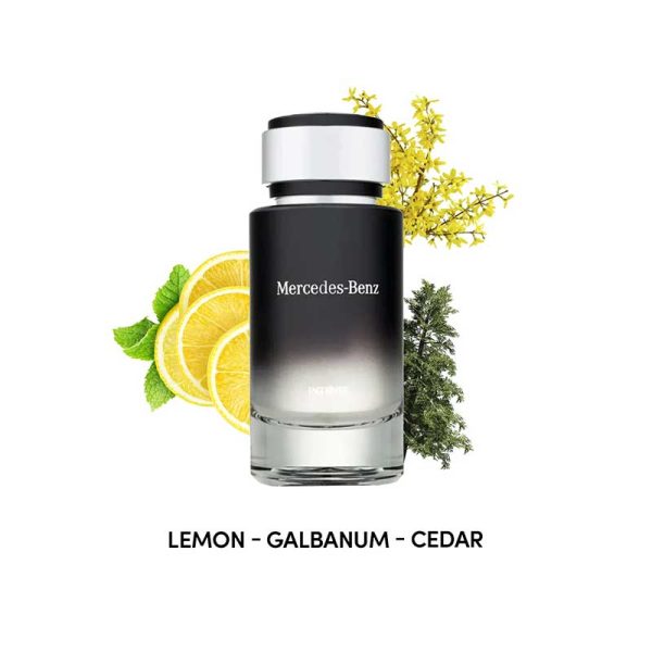 عطر مرسدس بنز اینتنس Mercedes-Benz Intense عطر مرسدس بنز اینتنس مردانه Mercedes-Benz Intense