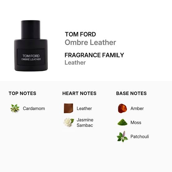 تام فورد اومبره لدر | Tom Ford Ombré Leather عطر تام فورد اومبره لدر Tom Ford Ombré Leather