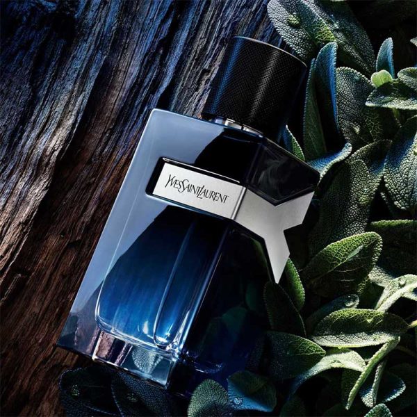 عطر ایوسن لورن وای ادو پرفیوم مردانه Yves Saint Laurent Y Eau de Parfum