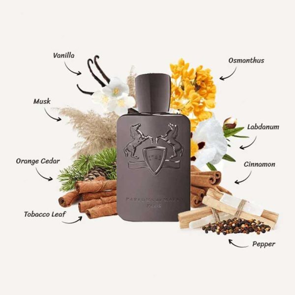 عطر مارلی هرود | Parfums de Marly Herod عطر مارلی هرود Parfums de Marly Herod با رایحه تنباکو و وانیل
