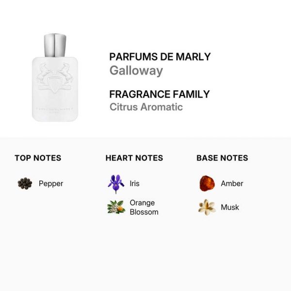 عطر مارلی گالووی | Parfums de Marly Galloway عطر مارلی گالووی Parfums de Marly Galloway با رایحه مرکباتی و مشکدار