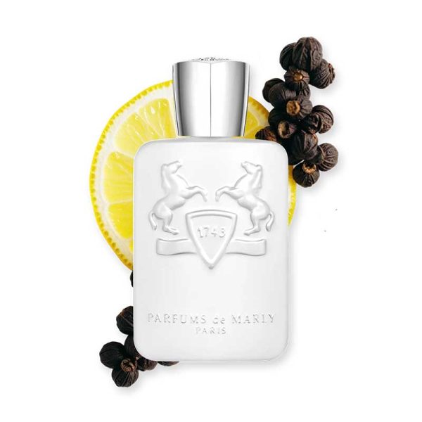 عطر مارلی گالووی | Parfums de Marly Galloway عطر مارلی گالووی Parfums de Marly Galloway با رایحه مرکباتی و مشکدار